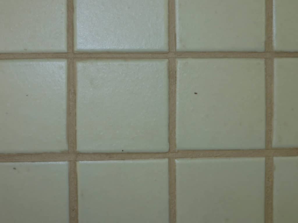 How to Recolor Old Grout | BuildingAdvisor
