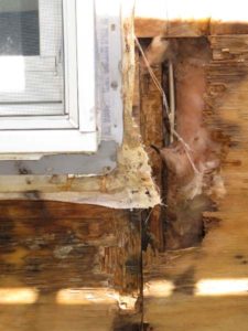 Wood decay in framing and sheathing caused by poor window flashing