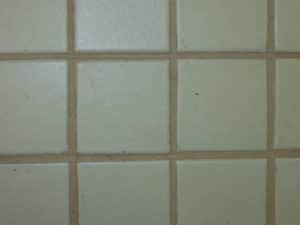This Old Grout grout sealer restored this badly stained grout on a ceramic tile floor.