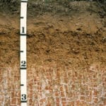 A deep hole test is used to find soil mottling showing the high water table
