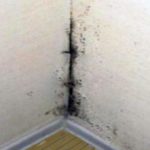 Mold in on drywall in corner of room. Causes and cures.