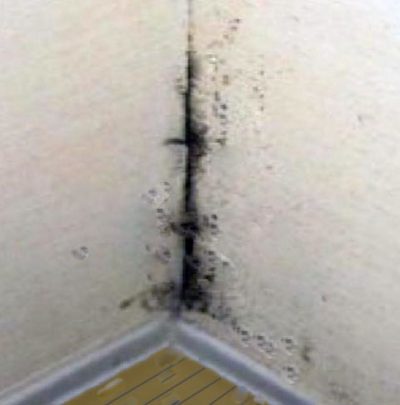 Preventing Mold On Bedroom Walls
