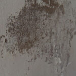 Efflorescence and spalling on concrete wall are caused by excess moisture.