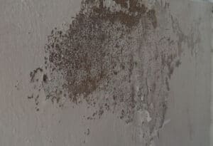 Efflorescence and spalling on concrete wall are caused by excess moisture.