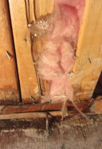 Wood decay in house framing due to water leakage around window